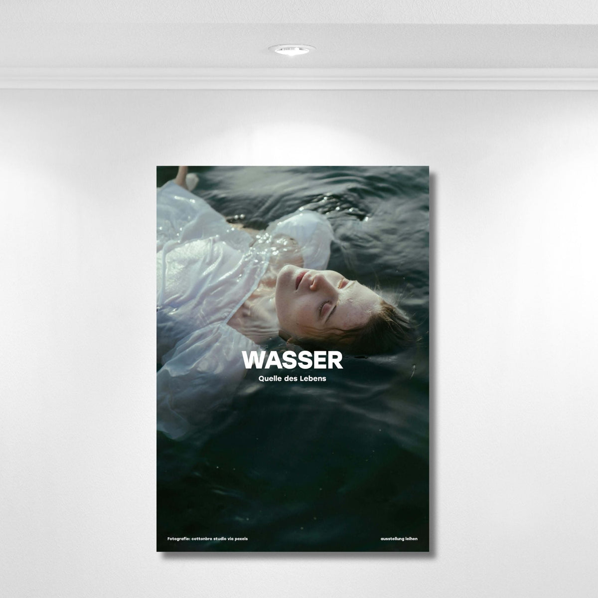 Wasser - Quelle des Lebens